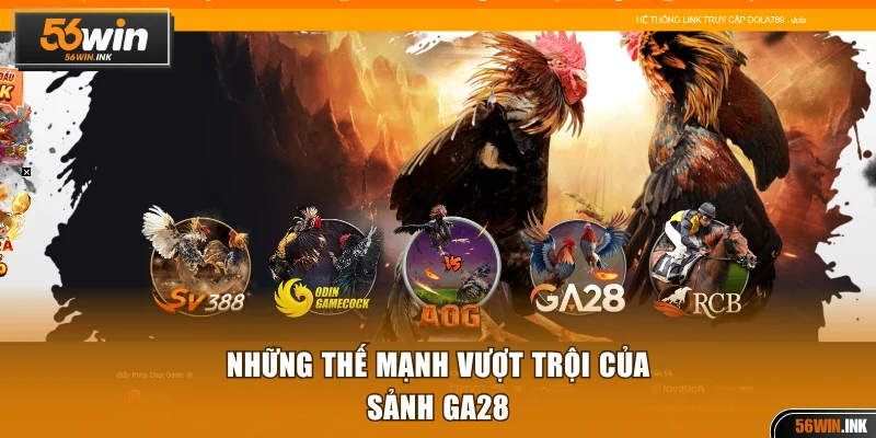 3 thế mạnh nổi trội nhất tại sân chơi 