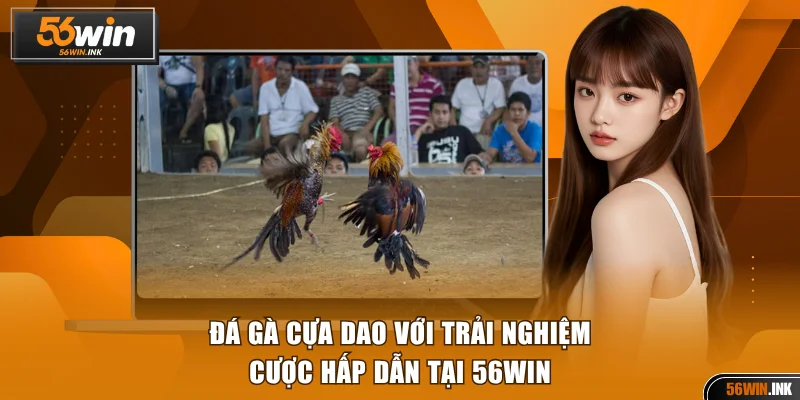 Đá Gà Cựa Dao Với Trải Nghiệm Cược Hấp Dẫn Tại 56WIN 1 Đá gà cựa dao
