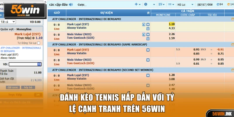 Đánh kèo Tennis hấp dẫn với tỷ lệ cạnh tranh
