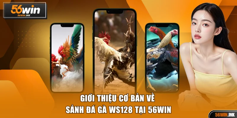 Giới thiệu cơ bản về sảnh đá gà WS128 tại nhà cái