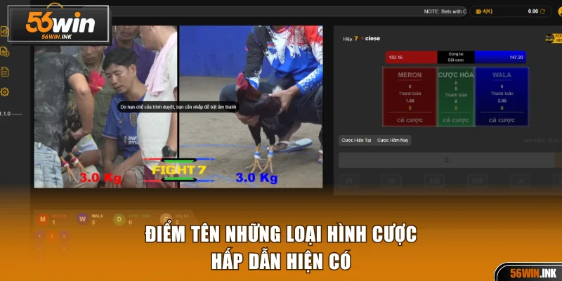 Những loại hình đấu kê hàng đầu tại 56WIN  