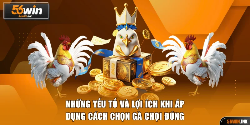 Cách Chọn Gà Chọi Chuẩn Đảm Bảo Thắng Mọi Trận Đấu 2 Những yếu tố và lợi ích khi áp dụng cách chọn gà chọi đúng