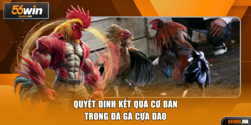 Đá Gà Cựa Dao Với Trải Nghiệm Cược Hấp Dẫn Tại 56WIN 3 Quyết định kết quả cơ bản trong đá gà cựa dao