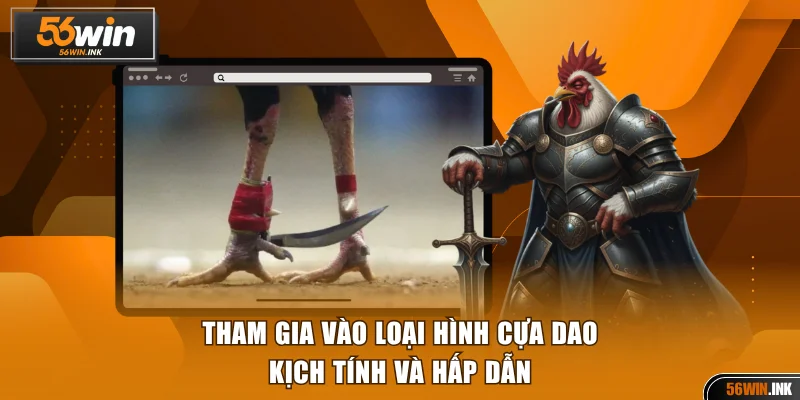 Tham gia vào loại hình cựa dao kịch tính và hấp dẫn